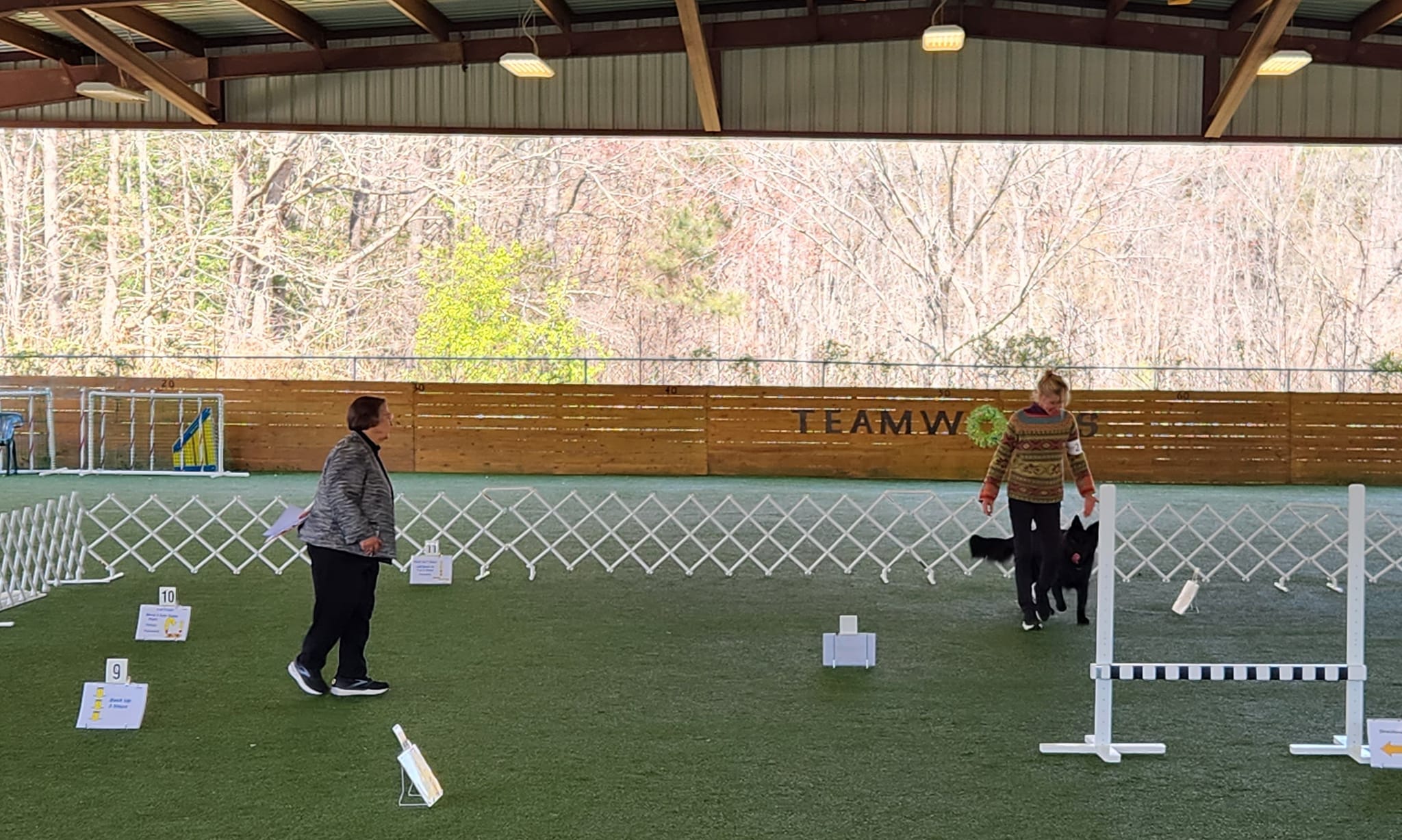 Rally Obedience Class - Teamworks Dog Training Llc